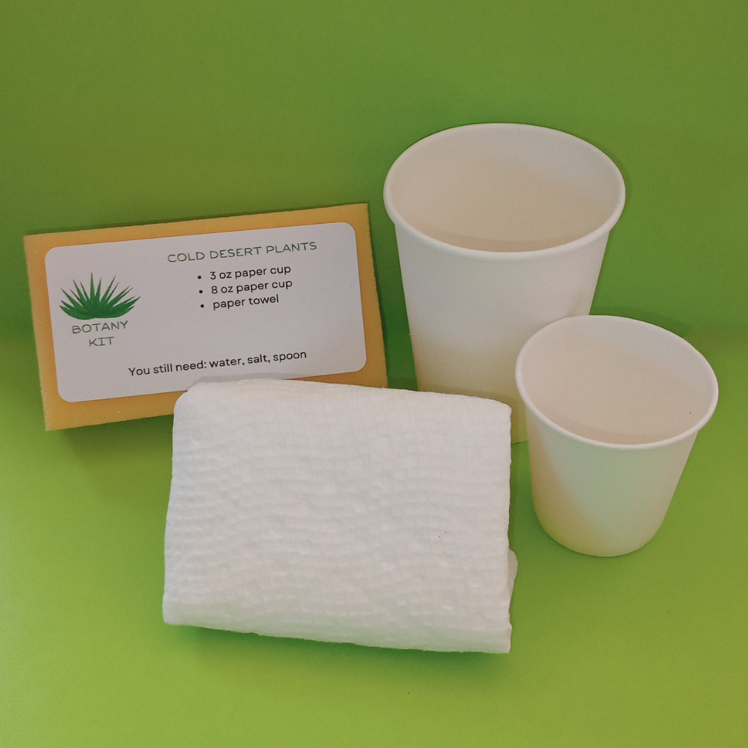 Cold Desert Plants Kit