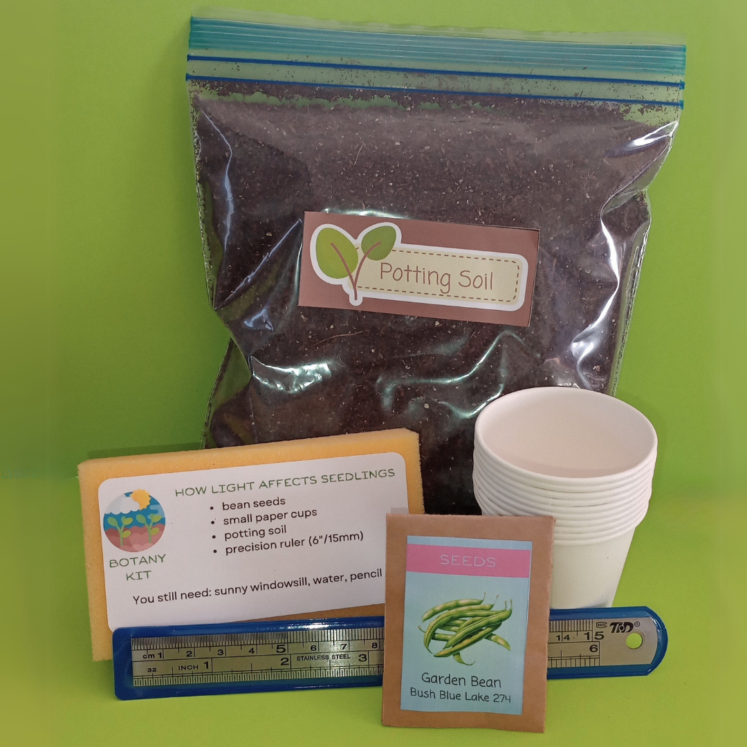 How Light Affects Seedlings Kit