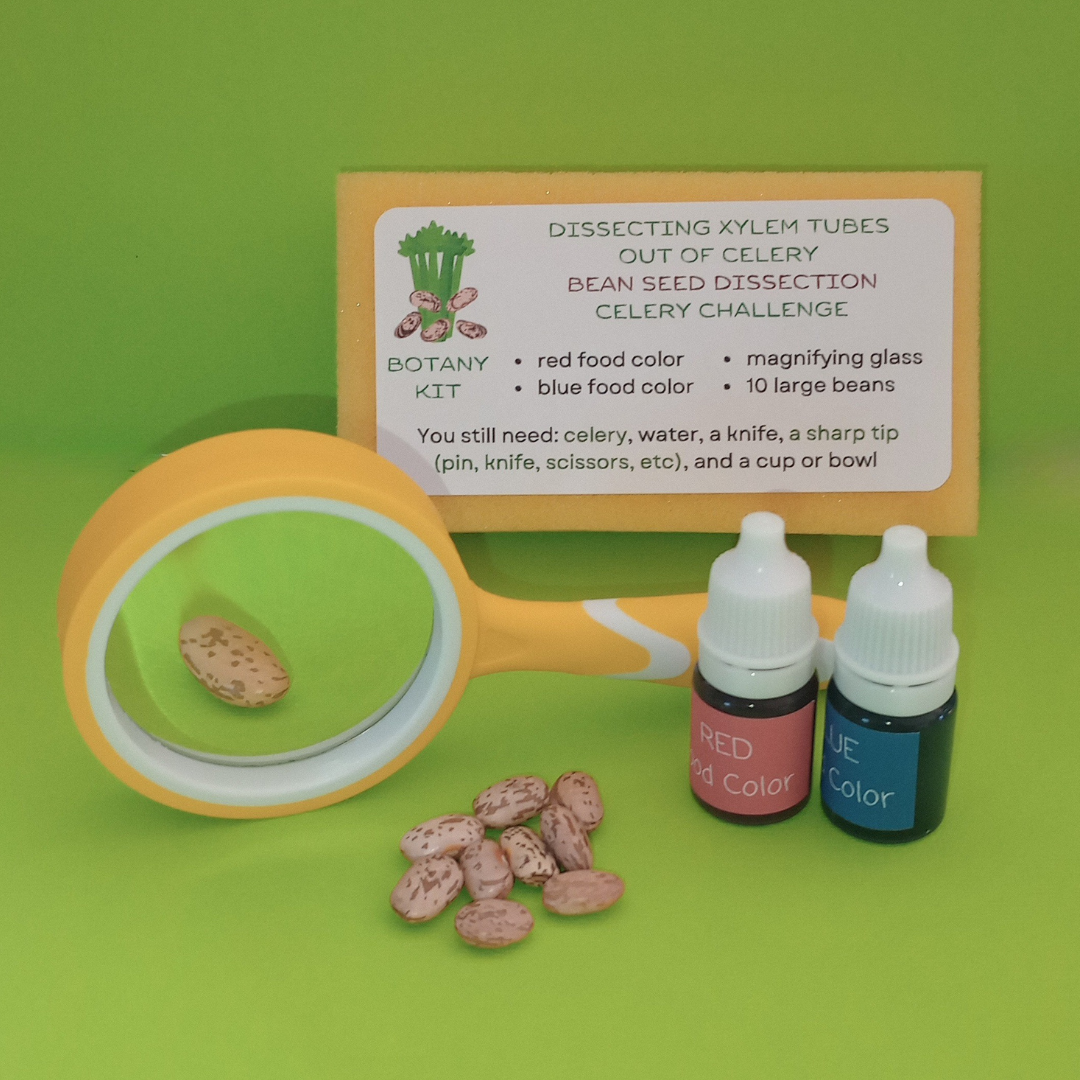 3 in 1 Celery and Bean Seed Kit